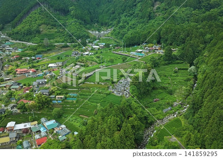 Aerial photograph capturing the terraced rice fields and tea plantations of the Utogi settlement in Shizuoka City, Shizuoka Prefecture. Aerial photograph capturing the terraced rice fields and tea plantations of the Utogi settlement in Shizuoka City, Shizuoka Prefecture. 141859295