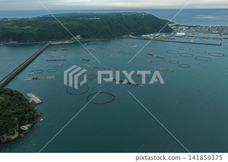 Aerial photograph showing aquaculture pens and port facilities in Kushimoto Town, Wakayama Prefecture. Aerial photograph showing aquaculture pens and port facilities in Kushimoto Town, Wakayama Prefecture. 141859375