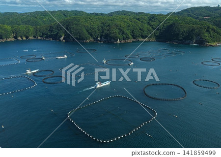 Aerial photograph of aquaculture pens in a bay in Kushimoto Town, Wakayama Prefecture. Aerial photograph of aquaculture pens in a bay in Kushimoto Town, Wakayama Prefecture. 141859499