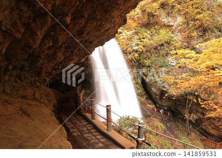 長野縣上高郡高山村牧城雷瀑布的秋葉 長野縣上高郡高山村牧城雷瀑布的秋葉 141859531