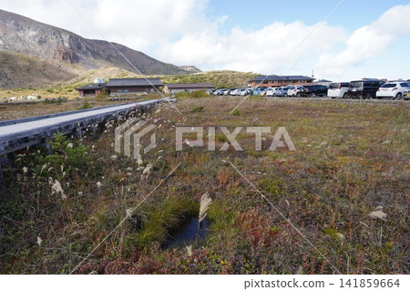 Jododaira in early October (Fukushima City, Fukushima Prefecture) 141859664