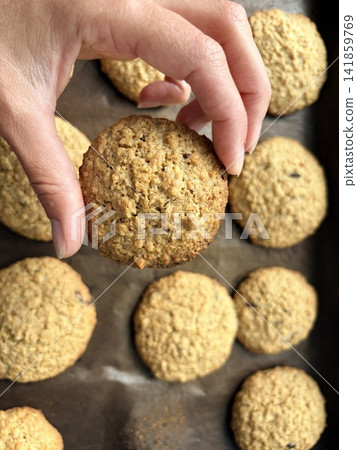 Homemade cookie. Hand holding a fresh oatmeal cookie over a baking sheet with more cookies Homemade cookie. Hand holding a fresh oatmeal cookie over a baking sheet with more cookies 141859769