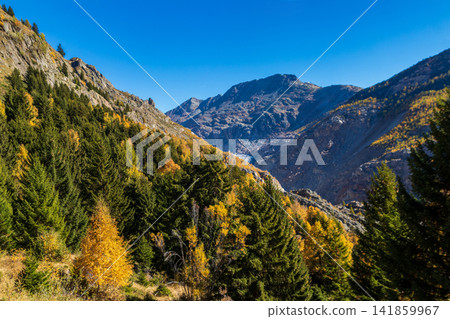 Vibrant Autumn Landscape in Valais with Swiss Alps, Golden Larch Trees and Blue Sky, Switzerland Vibrant Autumn Landscape in Valais with Swiss Alps, Golden Larch Trees and Blue Sky, Switzerland 141859967