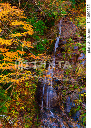 Autumn foliage along the Okutone Yukemuri Road: A vertical composition of the scenery of autumn leaves coloring the rock face and the continuous flow of the waterfall in Teruha Gorge. Autumn foliage along the Okutone Yukemuri Road: A vertical composition of the scenery of autumn leaves coloring the rock face and the continuous flow of the waterfall in Teruha Gorge. 141860215
