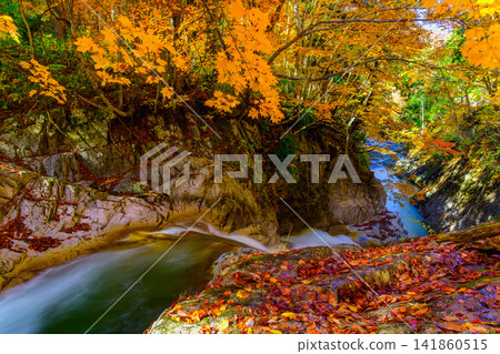 Autumn foliage along the Okutone Yukemuri Road; the autumn leaves of Iwana Falls in Teruha Gorge and the waterfall scenery captured with a slow shutter speed. Autumn foliage along the Okutone Yukemuri Road; the autumn leaves of Iwana Falls in Teruha Gorge and the waterfall scenery captured with a slow shutter speed. 141860515