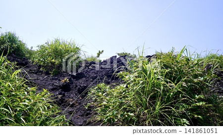 東京伊豆群島伊豆大島三原山上的Aa熔岩流前緣與植被。 東京伊豆群島伊豆大島三原山上的Aa熔岩流前緣與植被。 141861051