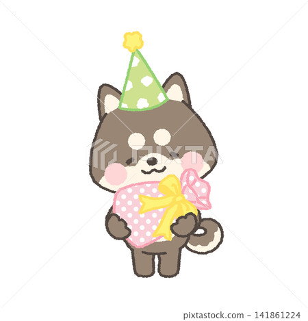 戴著派對帽、手持禮物的黑色柴犬。 141861224