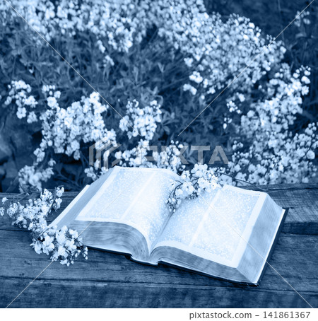 Big book on the brnch Big book on the brnch 141861367