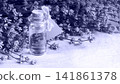 Lavender flowers and oil in the bottle 141861378