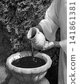 Hands pour water into the pot 141861381