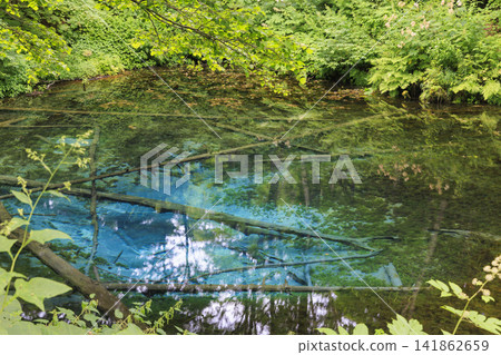 Kami-no-ko Pond (Kiyosato Town, Hokkaido): A beautiful spring said to be the source of Lake Mashu. Kami-no-ko Pond (Kiyosato Town, Hokkaido): A beautiful spring said to be the source of Lake Mashu. 141862659