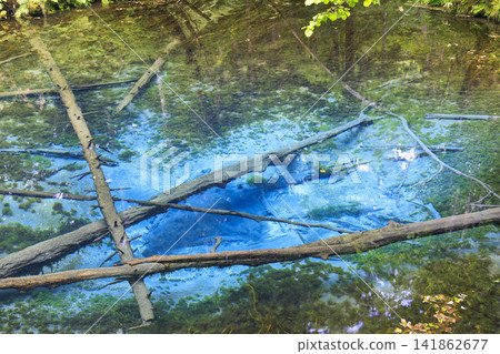 神之池（北海道清裡町）：據說是摩週湖的源頭，是一個美麗的泉水。 141862677
