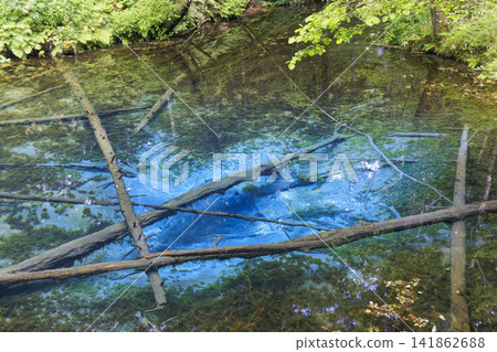 Kami-no-ko Pond (Kiyosato Town, Hokkaido): A beautiful spring said to be the source of Lake Mashu. Kami-no-ko Pond (Kiyosato Town, Hokkaido): A beautiful spring said to be the source of Lake Mashu. 141862688