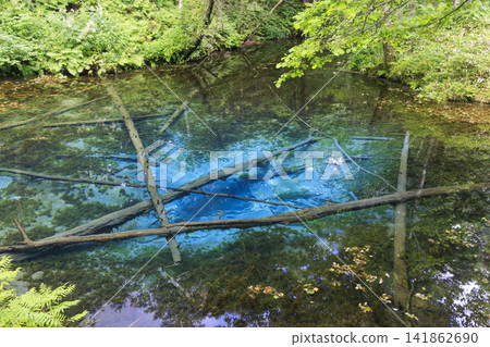 Kami-no-ko Pond (Kiyosato Town, Hokkaido): A beautiful spring said to be the source of Lake Mashu. Kami-no-ko Pond (Kiyosato Town, Hokkaido): A beautiful spring said to be the source of Lake Mashu. 141862690