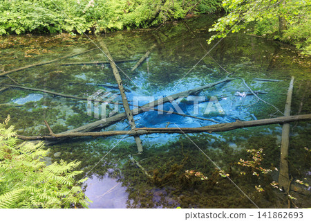 神之池(北海道清裡町):據說是摩週湖的源頭,是一個美麗的泉水。 神之池(北海道清裡町):據說是摩週湖的源頭,是一個美麗的泉水。 141862693