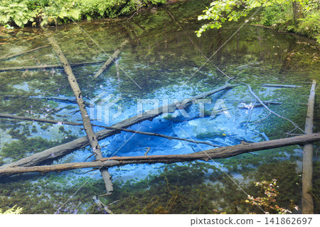 Kami-no-ko Pond (Kiyosato Town, Hokkaido): A beautiful spring said to be the source of Lake Mashu. Kami-no-ko Pond (Kiyosato Town, Hokkaido): A beautiful spring said to be the source of Lake Mashu. 141862697