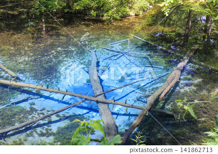 神之池(北海道清裡町):據說是摩週湖的源頭,是一個美麗的泉水。 神之池(北海道清裡町):據說是摩週湖的源頭,是一個美麗的泉水。 141862713
