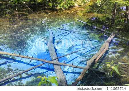 神之池(北海道清裡町):據說是摩週湖的源頭,是一個美麗的泉水。 神之池(北海道清裡町):據說是摩週湖的源頭,是一個美麗的泉水。 141862714