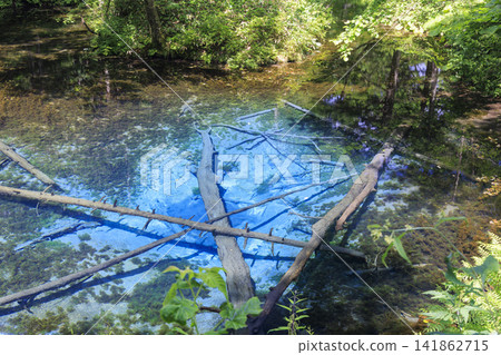 神之池(北海道清裡町):據說是摩週湖的源頭,是一個美麗的泉水。 神之池(北海道清裡町):據說是摩週湖的源頭,是一個美麗的泉水。 141862715