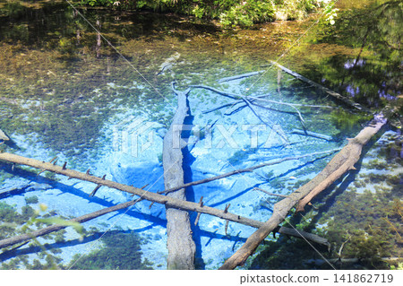 神之池(北海道清裡町):據說是摩週湖的源頭,是一個美麗的泉水。 神之池(北海道清裡町):據說是摩週湖的源頭,是一個美麗的泉水。 141862719
