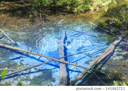 神之池(北海道清裡町):據說是摩週湖的源頭,是一個美麗的泉水。 神之池(北海道清裡町):據說是摩週湖的源頭,是一個美麗的泉水。 141862721