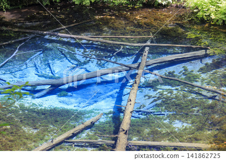 Kami-no-ko Pond (Kiyosato Town, Hokkaido): A beautiful spring said to be the source of Lake Mashu. Kami-no-ko Pond (Kiyosato Town, Hokkaido): A beautiful spring said to be the source of Lake Mashu. 141862725