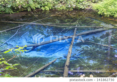Kami-no-ko Pond (Kiyosato Town, Hokkaido): A beautiful spring said to be the source of Lake Mashu. Kami-no-ko Pond (Kiyosato Town, Hokkaido): A beautiful spring said to be the source of Lake Mashu. 141862730