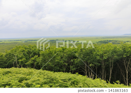 從Hosooka天文台(北海道)看釧路濕地 從Hosooka天文台(北海道)看釧路濕地 141863163