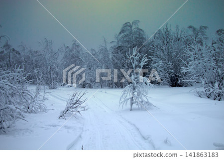 Siberian winter, snowy and frosty winter in taiga. Siberian winter, snowy and frosty winter in taiga. 141863183