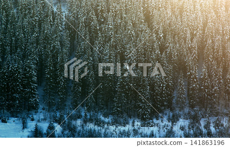 Siberian winter, snowy and frosty winter in taiga. Siberian winter, snowy and frosty winter in taiga. 141863196