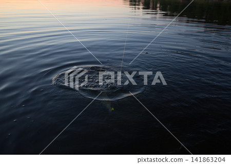 Sunset river perch fishing with and a rod Sunset river perch fishing with and a rod 141863204