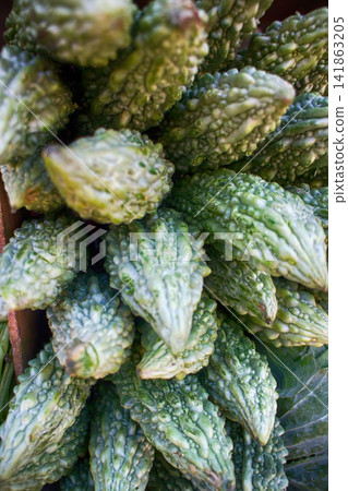 Bitter melon Bitter melon 141863205