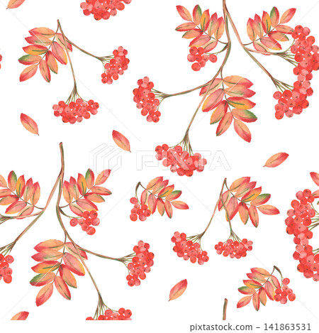 Watercolor rowan berry seamless pattern with colorful autumn foliage Watercolor rowan berry seamless pattern with colorful autumn foliage 141863531