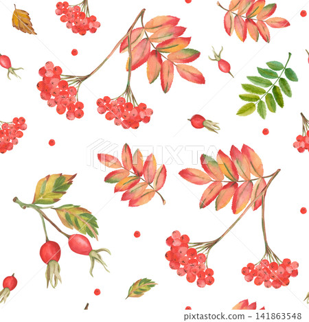 Watercolor autumn seamless pattern with rowan berries and rose hips Watercolor autumn seamless pattern with rowan berries and rose hips 141863548