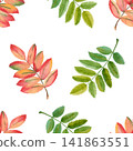 Autumn Watercolor Seamless Pattern with Rowan Leaves 141863551