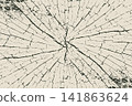 radial wood ring cracked stump texture vector illustration 141863624
