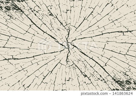 radial wood ring cracked stump texture vector illustration radial wood ring cracked stump texture vector illustration 141863624