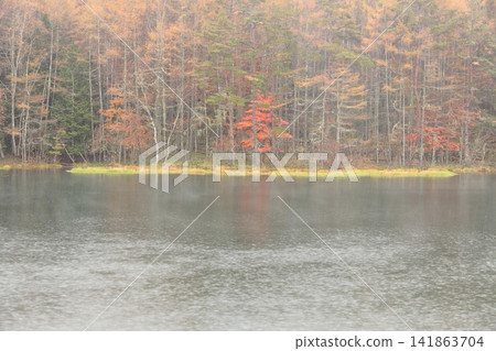 秋天秋天池塘 秋天秋天池塘 141863704