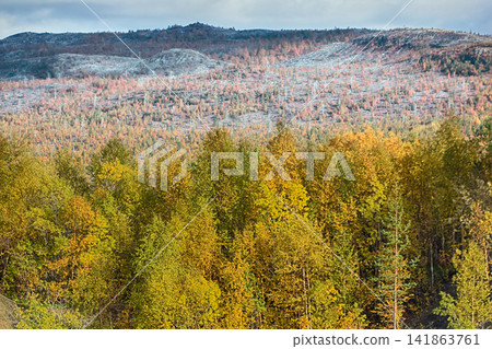 autumn forest 141863761