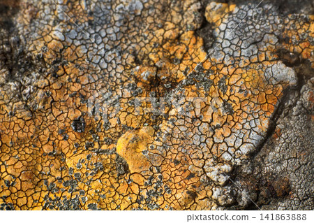 dry cracked earth. The desert. dry cracked earth. The desert. 141863888