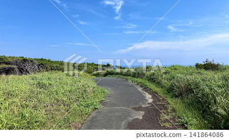 通往東京伊豆大島俊木海灘的道路。 141864086