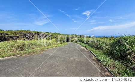 通往東京伊豆大島俊木海灘的道路。 通往東京伊豆大島俊木海灘的道路。 141864087