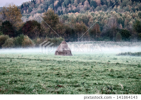 Autumn. Hay dried and assembled in stack Autumn. Hay dried and assembled in stack 141864143
