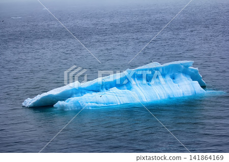 Typical growler (small flat iceberg) in waters of the Barents sea Typical growler (small flat iceberg) in waters of the Barents sea 141864169