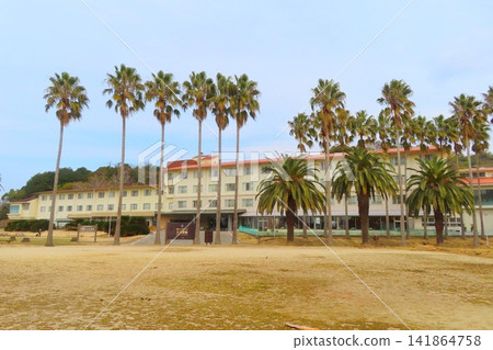 [Hiroshima Prefecture] Okunoshima Island 141864758