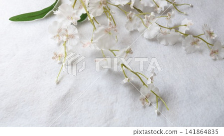 Artificial Oncidium Artificial Oncidium 141864835