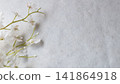 人工文心菌 人工文心菌 141864918