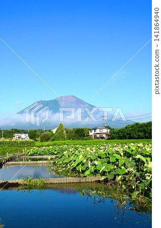 Rainbow Lotus Garden in Morioka Rainbow Lotus Garden in Morioka 141864940