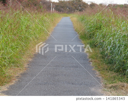 passage way passage way 141865343