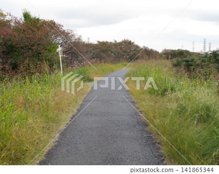 passage way passage way 141865344